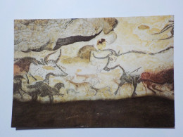 MONTIGNAC-LASCAUX  Grotte De Lascaux    Salle Des Taureaux (Paroi Gauche) 1er Et 2e Taureau - Montignac-sur-Vézère