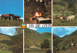 ESPAGNE - Os De Civís - Divers Aspects - Carte Postale Récente - Andere & Zonder Classificatie