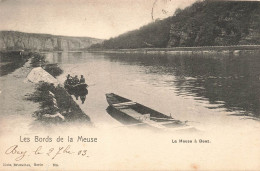 BELGIQUE - Les Bords De La Meuse - La Meuse à Beez - Dos Non Divisé - Avirons - Carte Postale Ancienne - Otros & Sin Clasificación
