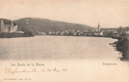 BELGIQUE - Les Bords De La Meuse - Profondeville - Eglise - Carte Postale Ancienne - Sonstige & Ohne Zuordnung