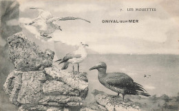 Onival Sur Mer * Les Mouettes De La Région * Oiseaux - Onival