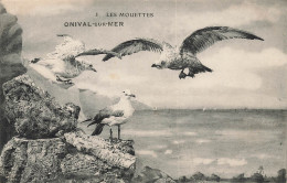 Onival Sur Mer * Les Mouettes De La Région * Oiseaux - Onival