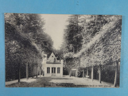 Chimay Pavillon Du Jardin Des Arbalétriers Fondé En 1667; Côté Est - Chimay