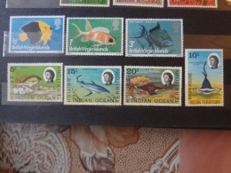 1975	British Virgin Islands British India Fishes (F70) - Ungebraucht