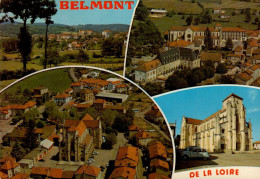 BELMONT DE LA LOIRE   ( LOIRE ) - Belmont De La Loire