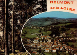 BELMONT DE LA LOIRE   ( LOIRE ) - Belmont De La Loire