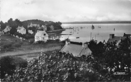 Ile Aux Moines * Vue Sur Le Port - Ile Aux Moines