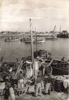 Quiberon * Les Sardiniers à Port Maria * Bateau De Pêche - Quiberon