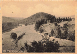 BELGIQUE - Herbeumont - La Route De Florenville - Carte Postale Ancienne - Herbeumont