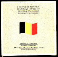 BELGIQUE/BELGÏE - Set Complet MINT - Fleurs De Coins - YEAR 1989 - Avec Une Médaille Commémorative "Monnaie Royale". - FDC, BU, Proofs & Presentation Cases