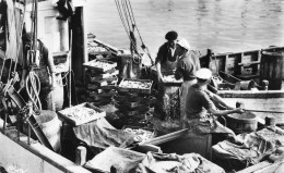 La Turballe * Les Bateaux Sardiniers à Quai * Pêche Pêcheurs - La Turballe