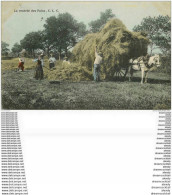 METIERS A LA CAMPAGNE. La Rentrée Des Foins Avec Attelage 1903 - Farmers