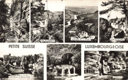 LUXEMBOURG - Petite Suisse Luxembourgeoise - Gorge Du Loup - Hohllay - Île Du Diable - Carte Postale Ancienne - Autres & Non Classés