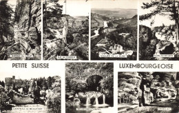 LUXEMBOURG - Petite Suisse Luxembourgeoise - Gorge Du Loup - Hohllay - Île Du Diable - Carte Postale Ancienne - Sonstige & Ohne Zuordnung
