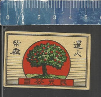 TREE ( BONZAI ?? ) - OLD MATCHBOX LABEL MADE IN JAPAN - Zündholzschachteletiketten