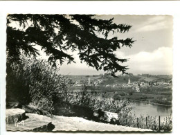 CP - Vue Sur OUDON Prise Du Champ Palud à CHAMPOCEAUX (49) - Champtoceaux