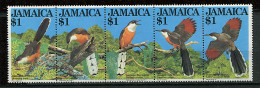 Jamaique ** N° 563 à 567 Se Tenant - Oiseau : Le Coucou "Lézard " Jamaïquain - Jamaica (1962-...)