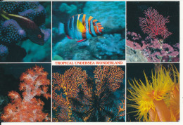 Fiji Postcard Sent To Denmark 30-1-1999 (Tropical Undersea Wonderland) - Fiji