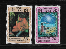 NOUVELLES HEBRIDES  ( DIV - 203 )  1973  N° YVERT ET TELLIER  N°  376/377     N** - Neufs