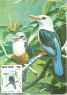 Carte Maximum - Oiseaux - Cabo Verde Cap Vert - Passarinha - Martin Chasseur - Kingfisher - Halcyon Leucocephala - Cap Vert