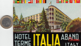 ETIQUETA - STICKER - LUGGAGE LABEL HOTEL TERME - ABANO    - ITALIA - ITALY - Etiquetas De Hotel