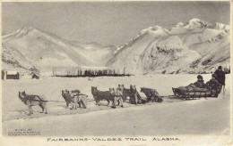 Fairbank's-valdez Trail Alaska  Attelage De Chiens De Traineau Chisholm - Altri & Non Classificati