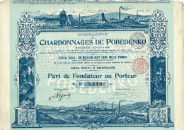 Titre De 1898 - Compagnie Des Charbonnages De Pobedenko - VF- Déco - - Russie