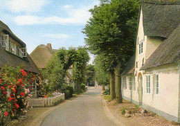 05130 - Nordseebad NIEBLUM Auf Föhr - Straßenpartie Mit Friesenhäusern - Föhr