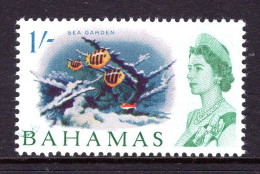 Bahamas 1965 Pictorials - 1/- Sea Gardens HM (SG 256a) - 1963-1973 Autonomía Interna