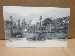 CHINE HONG KONG Public Garden - Chine (Hong Kong)