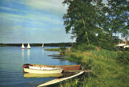 SURREY, FRENSHAM PONDS, BOATS, PORT, NR. 1078, UNITED KINGDOM - Surrey