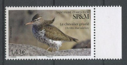 SPM Miquelon 2021 N° 1277 ** Neuf MNH Superbe Faune Oiseau Bird Chevalier Grivelé Actitis Macularius - Neufs