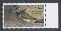 SPM Miquelon 2021 N° 1277 ** Neuf MNH Superbe Faune Oiseau Bird Chevalier Grivelé Actitis Macularius - Nuovi