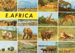 CPM - K - EAST AFRICA - AFRIQUE DE L'EST - FAUNE SAUVAGE - LION - ELEPHANT - RHINOCEROS - CROCODILE - ZEBRE - AUTRUCHE - Kenya