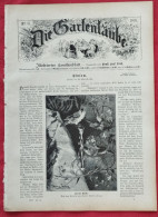 DIE GARTENLAUBE 1897 Nr 31 SCHILLER. NURNBERG. YOKOHAMA JAPAN - Altri & Non Classificati