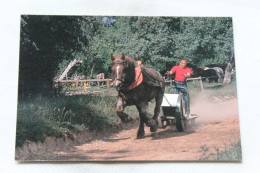 Cpm, Juvigny Sous Andaine, La Michaudière, Ferme Du Cheval De Trait, Orne 61 - Juvigny Sous Andaine