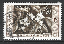 MADAGASCAR. N°331 Oblitéré De 1956. Café - Andere & Zonder Classificatie