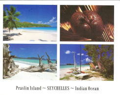 CPM - SEYCHELLES - PRASLIN ISLAND - COCO DE MER - Seychelles