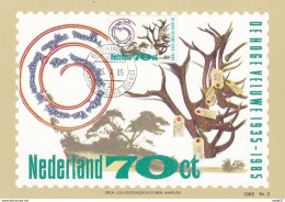 Netherlands Pays Bas Maximum Card 29.02.1985 De Hoge Veluwe - Sonstige & Ohne Zuordnung