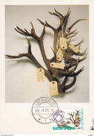 Netherlands Pays Bas Maximum Card 26.02.1985 De Hoge Veluwe - Cartoline Maximum