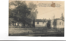 CPA   DPT 81 ST SULPICE LA POINTE , PETIT SEMINAIRE - Saint Sulpice