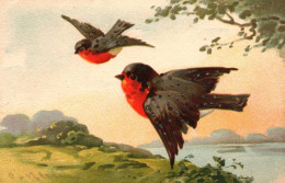 Catharina KLEIN - Cpa Illustrateur - Oiseaux Rouges Gorges - Paillettes Pailletée - Klein, Catharina
