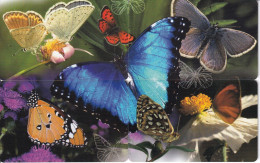 PUZZLE DE 4 TARJETAS DE SUDAFRICA DE UNA MARIPOSA (BUTTERFLY) - Papillons