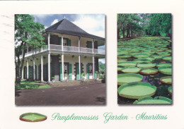 Ile MAURICE ---Jardin Des Pamplemousses ............Beau Timbre (anguille) - Mauritius