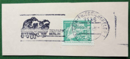 Briefstück DDR 1983 Werbestempel Tierpark Berlin Moschusochsen - Frankeermachines (EMA)