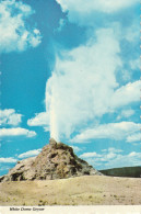 White Dome Geyser, Yellowstone National Park, Wyoming  Cone Of The Geyser Is Situated In The Center Of An Old Sprin G - Yellowstone