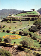 28-11-2023 (3 V 40) Australia - VIC - Garden At Eildon Dam - Arbres