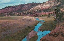 The Red Beds Along The Belle Fourche River Near Devils Tower In The Bearlodge Mountains Of Wyoming - Altri & Non Classificati