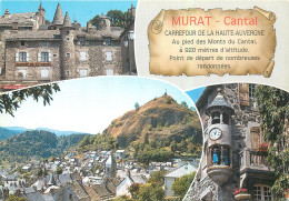 15 Cantal Murat  La Maison De La Faune Vue Générale De La Ville Dominée Par Le Rocher De Bonnevie Multivue N° 28 \MM5040 - Murat