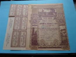 REGATUL ROMANIEI Ministerul Finantelor - IMPRUMUTUL Titlu De 1000 Lei - N° 048664 ( See SCANS ) 1920 ! - Other & Unclassified